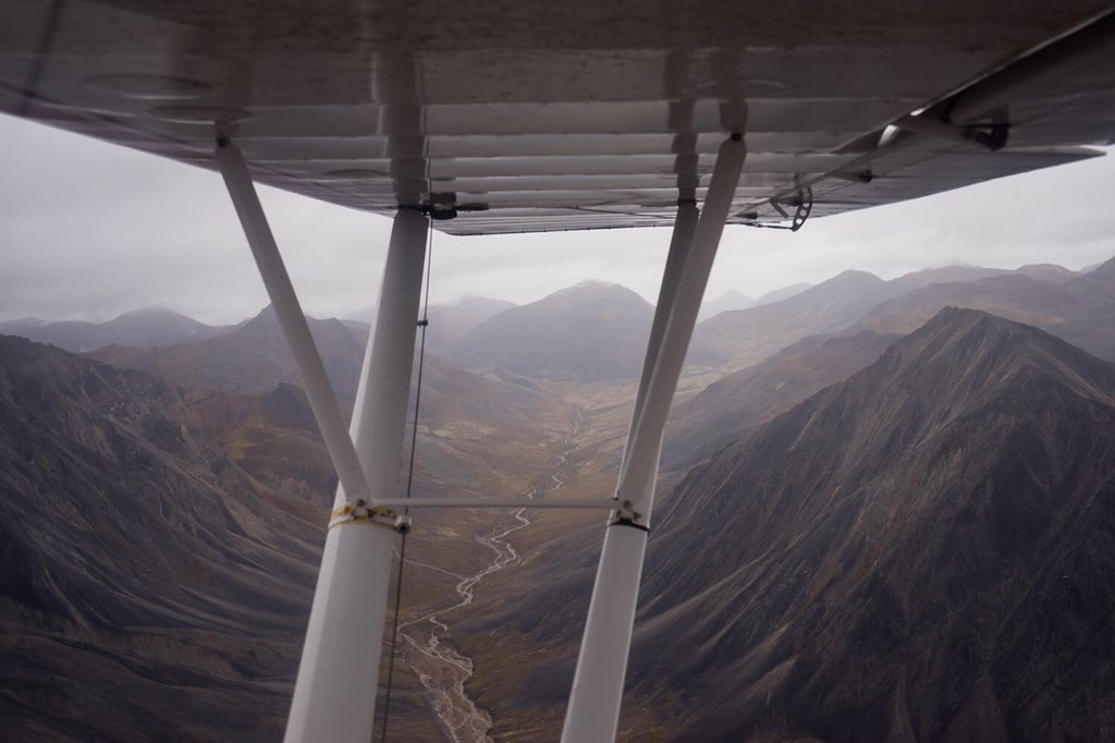 Matt_Elder_'s tweet photo. View from above... #sickforit #deepforsheep #adventure #mountains
https://t.co/D6NfU3fCmn https://t.co/Vib2tS97W5