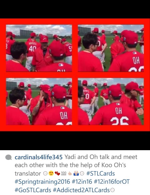 Redbirds22Katie's tweet photo. Yadi meets Oh @Cardinals #STLCards #This2016 #Springtraining2016 ⚾😍💕💯👍🙆⚾ https://t.co/mxYXTVNdUO