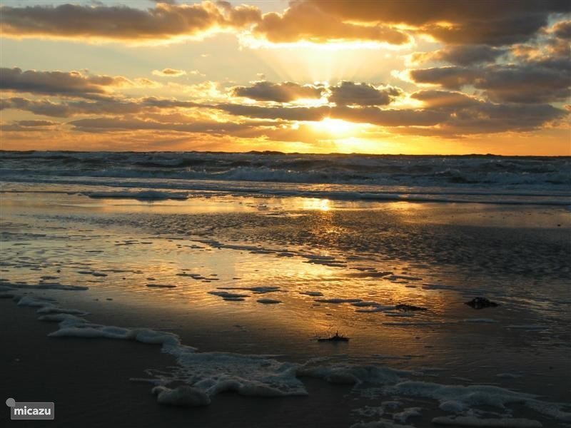 ZeeManski's tweet photo. Vrijstaande vakantiewoning aan zee te huur (NL) Kijk ook even op onze website: https://t.co/Xi8RB8J8JZ https://t.co/4iaKqIM8BG