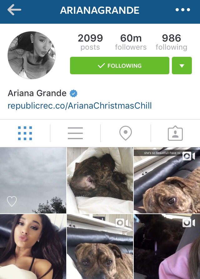Ariana grande today on twitter ariana hit 60 million followers on