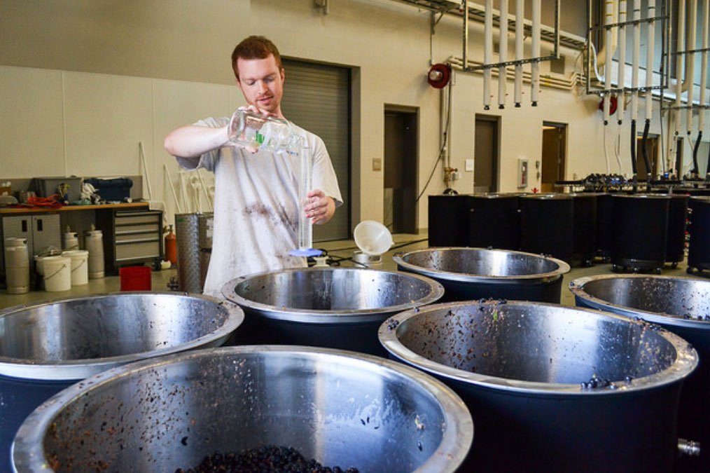 WSUTriCities's tweet photo. A @WSUTriCities graduate is the new assistant winemaker at the #WSU #WineScienceCenter! https://t.co/LzrfGgGejK https://t.co/5QhyTuslhG