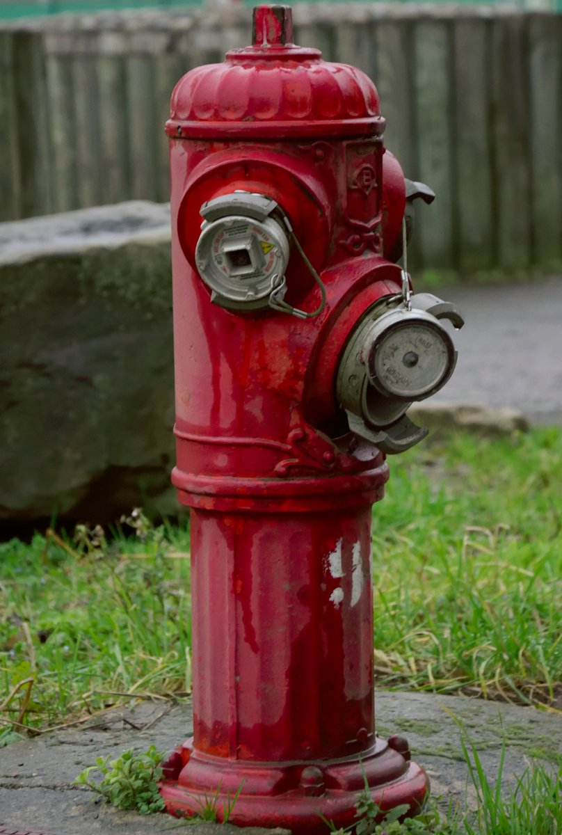 ph_izer's tweet photo. Fire red

https://t.co/PINXc635nI https://t.co/6HkQ47b8kv