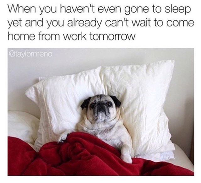 PinkBoutiqueUK's tweet photo. 😂💤 https://t.co/i8OZMiCMrN
