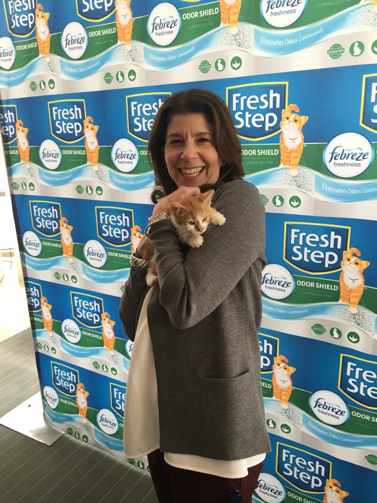 nsgreer's tweet photo. Breaking Mews: Played with @EastBaySPCA kittens at work today for the launch of #FreshStepFebreze! #TeamMember https://t.co/cRnsE6SVWW
