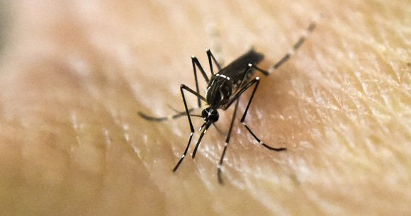 País tem 5 casos de Guillain-Barré por dia, aumento de 19%. ow.ly/Yu2fr