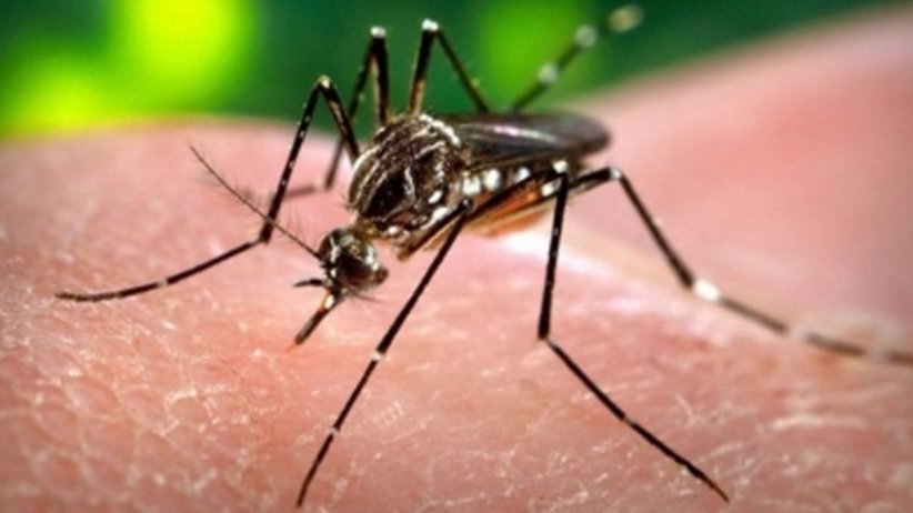 2 more #Zika virus cases reported in Miami-Dade County bit.ly/21bI7wP?utm_me… https://t.co/uoBFxIQ5vZ
