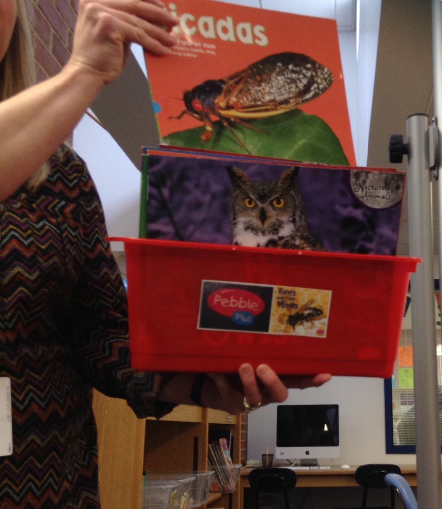 1mrsbedingfield's tweet photo. Excited to have new nonfiction @CapstonePub books in @IvyHill_LMC for book checkout #ivyhillleague #pebbleplus https://t.co/uKoPusaXI9