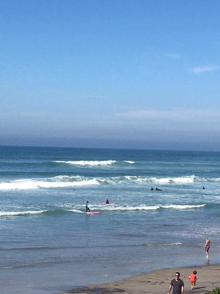 Sevan (@sevansevand) on Twitter photo 