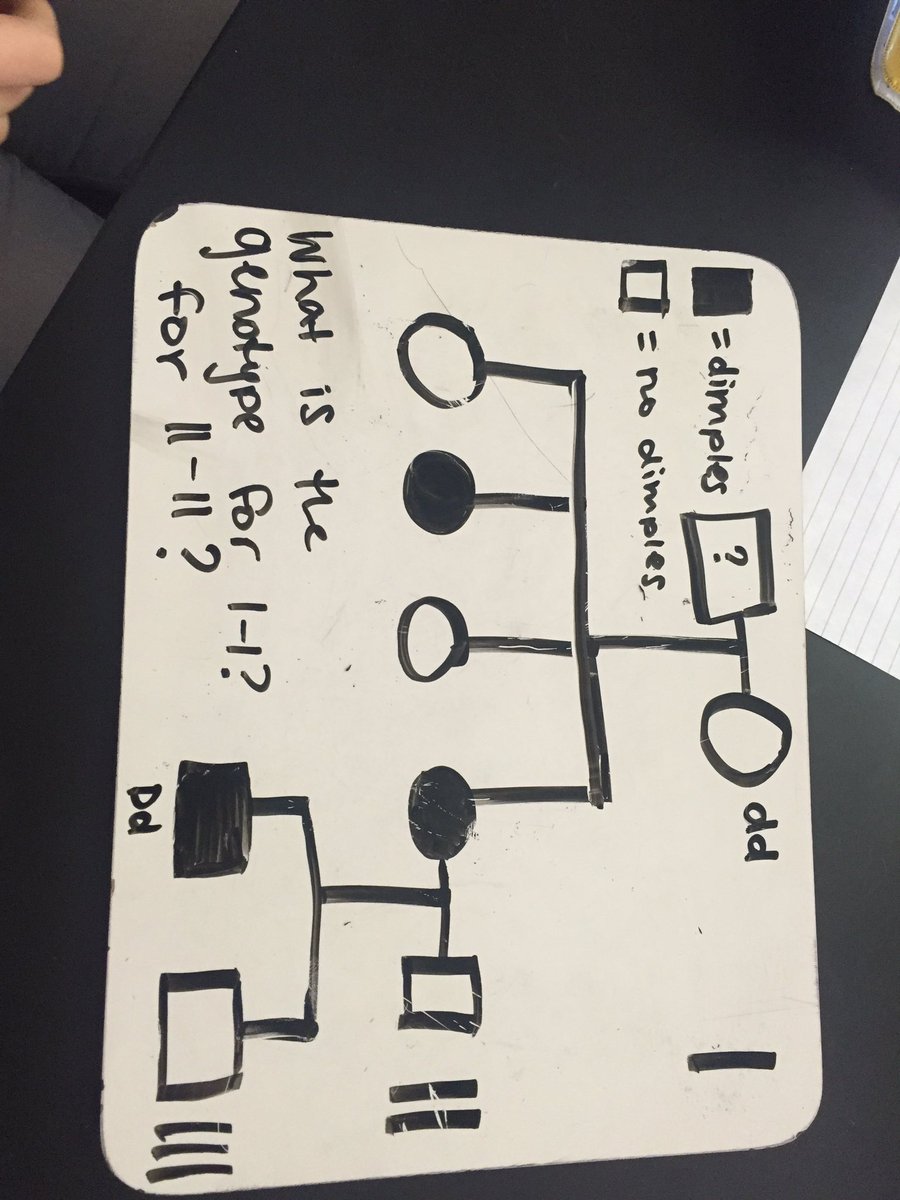 emilyk_lhs's tweet photo. What is the genotype for l-l? For II-II?
#lhsgenetics #ballhr7 #group6 @msball_lhs @msstern_lhs https://t.co/cogh350uxG