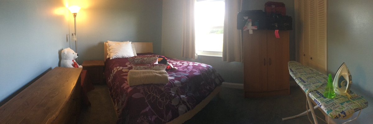 sha_chao's tweet image. 