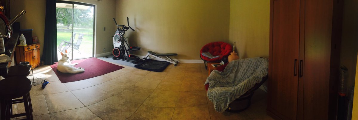 sha_chao's tweet image. 