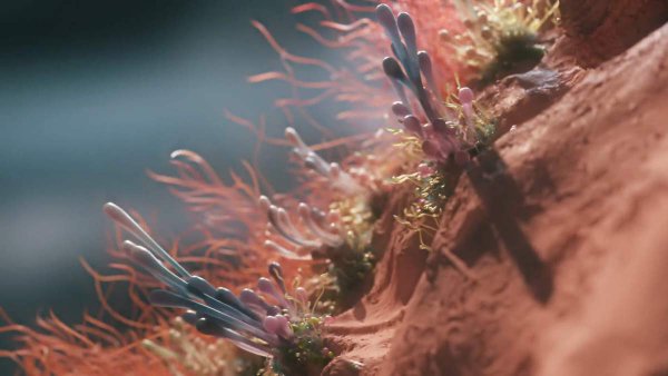 NFFTY's tweet photo. Creating visuals from sound results in beautiful and satisfying #videography #motionography https://t.co/INUn9jeSik https://t.co/55iHX89ZrL