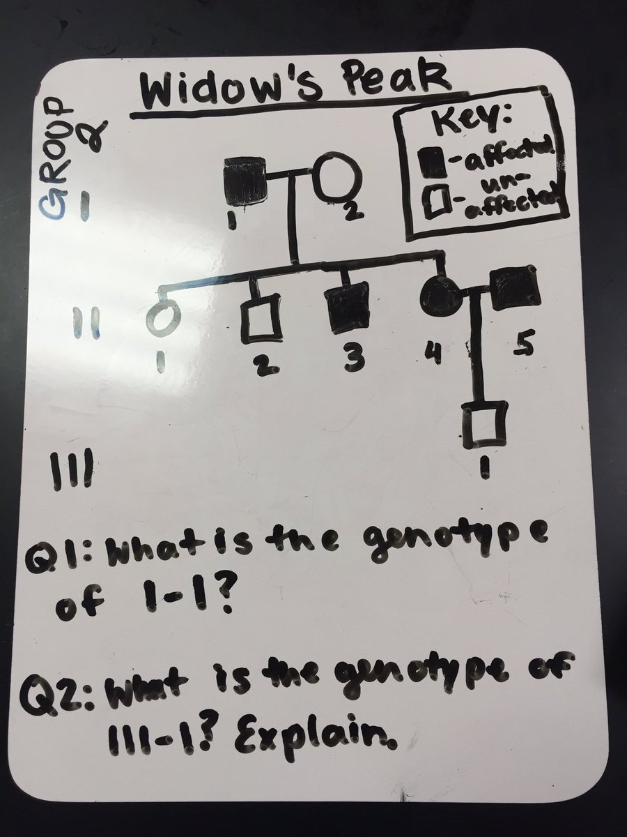 abbymon_lhs's tweet photo. #ballhr7 #lhsgenetics @msstern_lhs @msball_lhs https://t.co/340gdX7dFZ