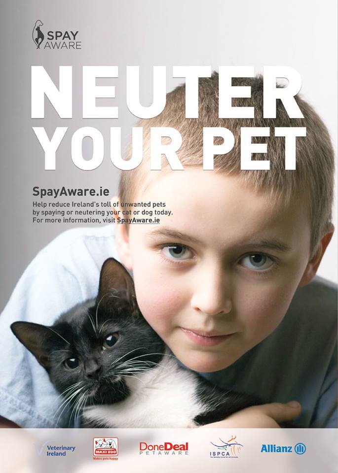 Spayaware's tweet image. Please download our poster and display it in your local communities to get the message out spayaware.ie/Spay-Aware-Dow…