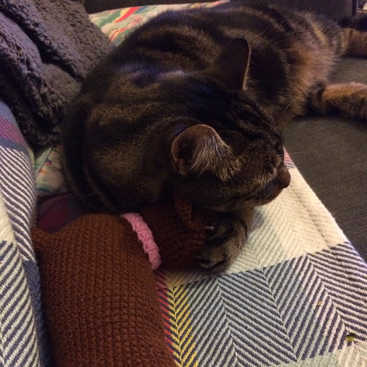 Charlie is feeling the sausage dog love 😍 <a href="/Cath_Kidston/">Cath Kidston</a>