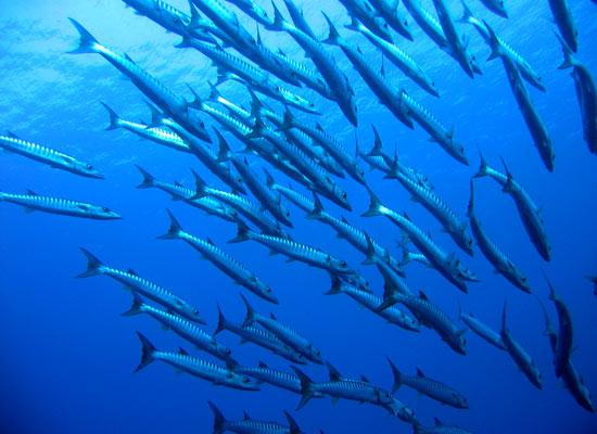 OneThatGotAway tweet media