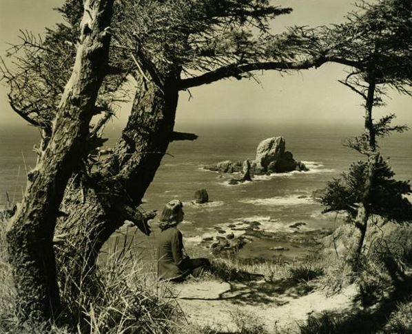 #TBT The Oregon Coast is so beautiful! Such a pretty viewpoint of the rockscapes at #EcolaStatePark! <a href="/CannonBeachHC/">CB History Center</a>