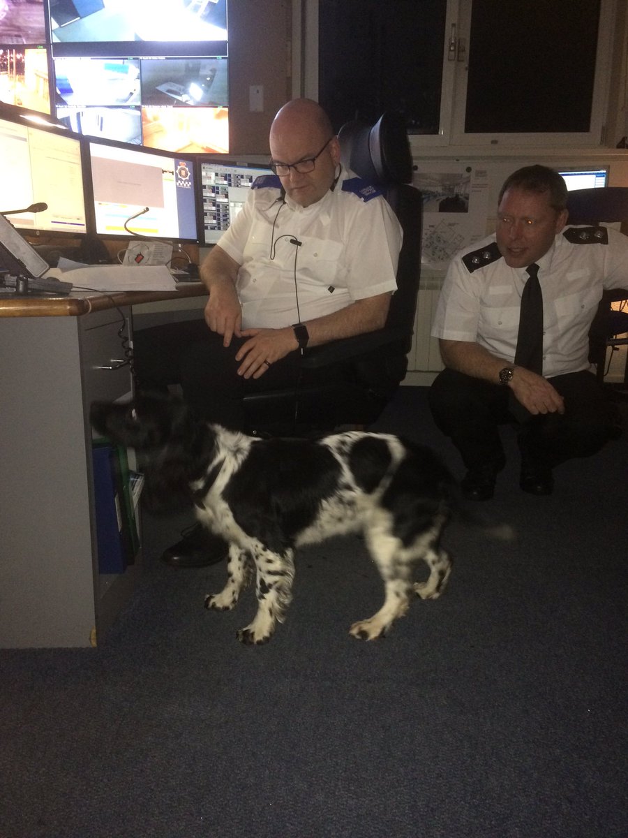 JerseyPoliceDog's tweet photo. PD Meg visiting the B Shift team up in the Force Control at 02:30 this morning. I think she was a hit 😜🐾 https://t.co/ChP252hHxc