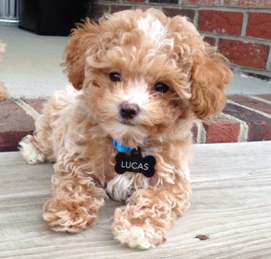 I need him omg
