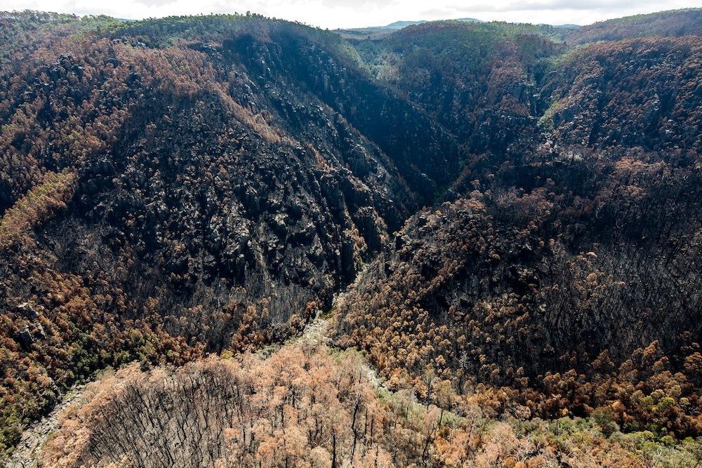 VICE's tweet photo. Photos of Tasmania's sad, burned out wilderness https://t.co/VxLHjQSNil https://t.co/90yBUYKveA