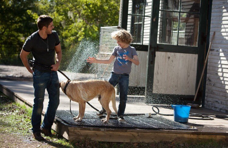 The Lucky One (2012)