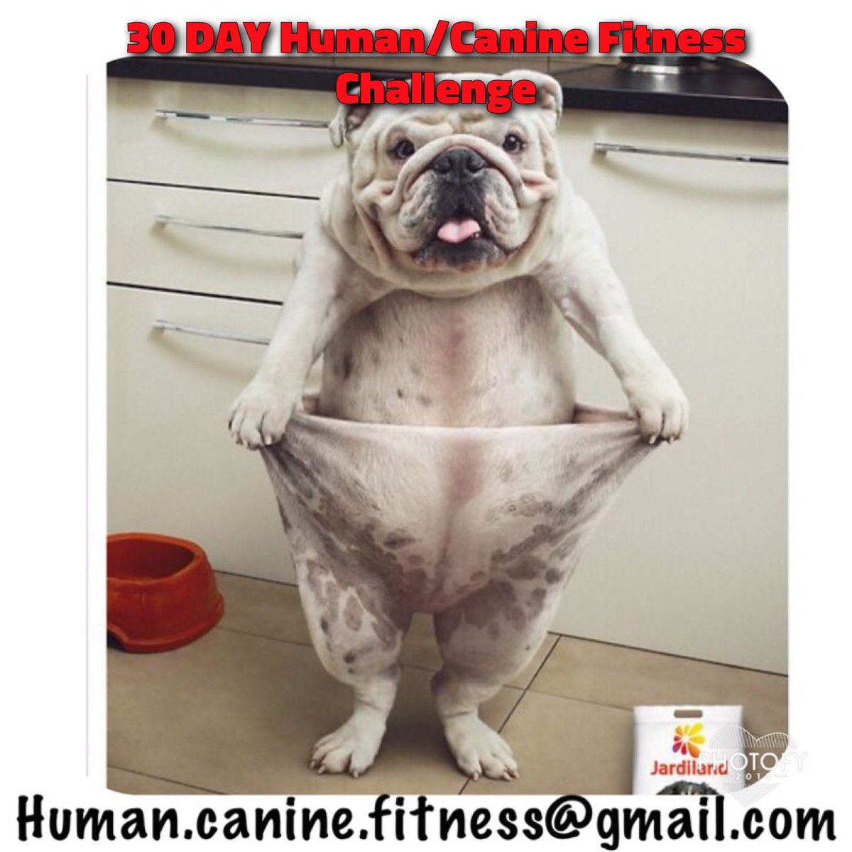 HumanK9Fit's tweet photo. Are you ready to join the challenge? Register at the link below for more information! 

https://t.co/iSKSzaNu8q https://t.co/qhIkgiBnco