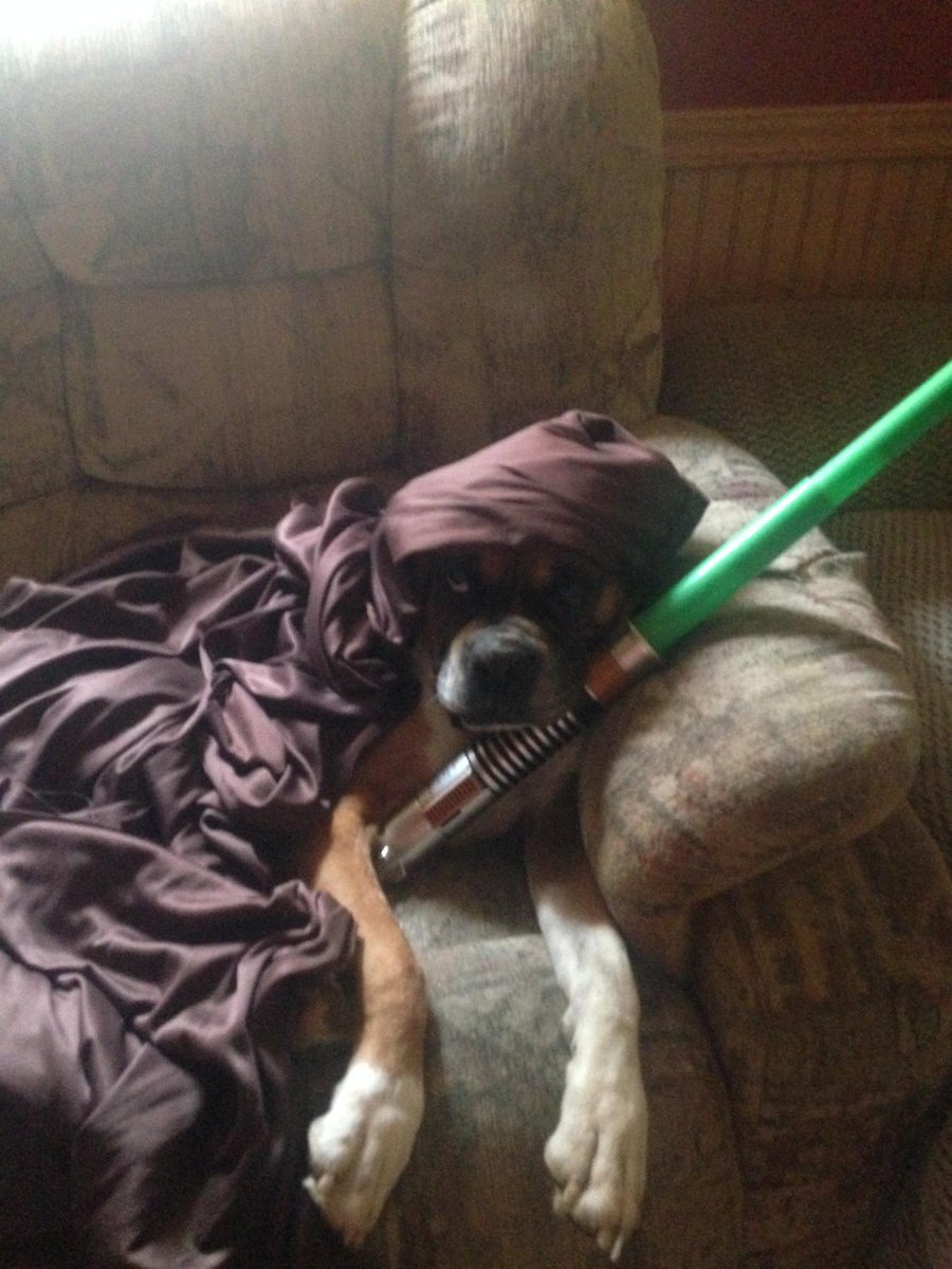 BlakeMathis7's tweet image. Spending time with my Jedi