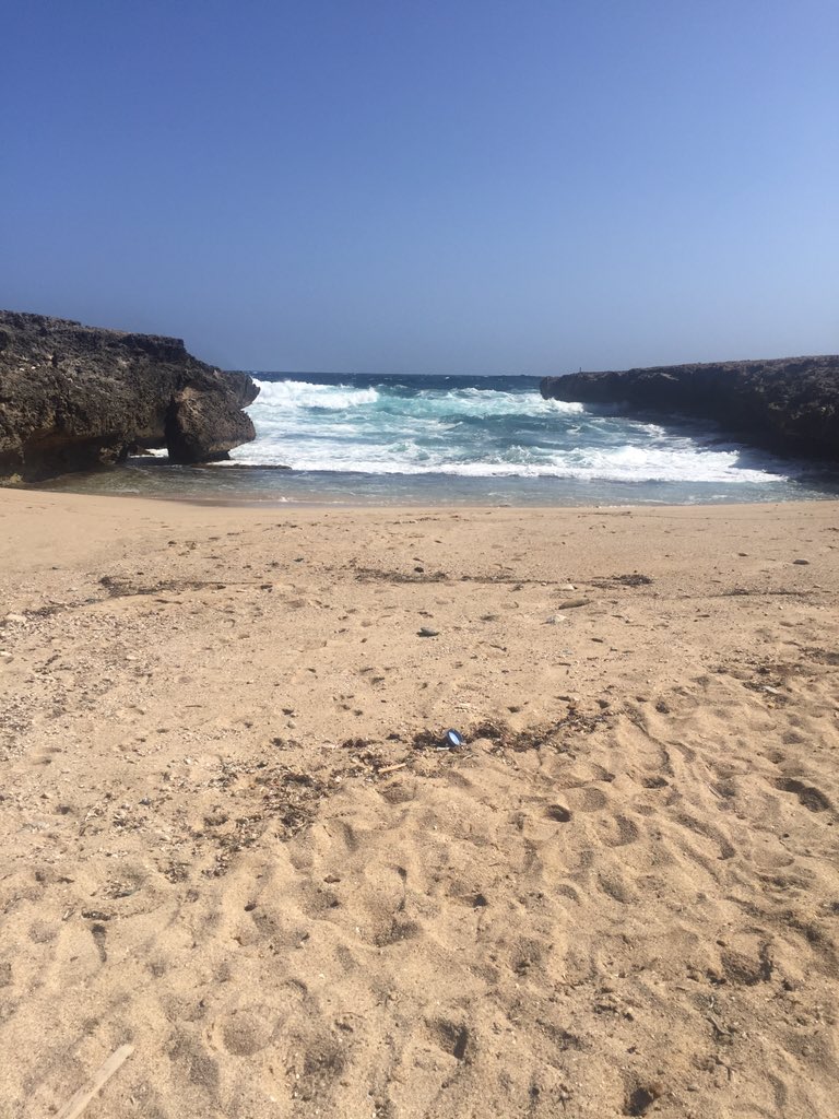 morgan__ashlee's tweet photo. slightly obsessed w the beach ⛱ https://t.co/LM1PMmptex