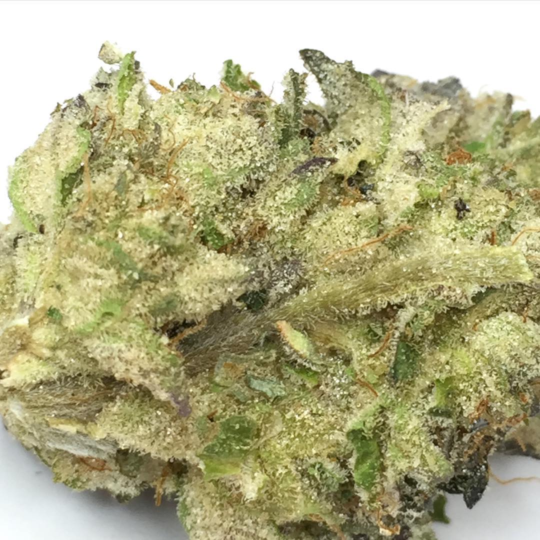 mudbaymeds's tweet photo. Platinum GSC by @cotc_gardens So delicious. #goodcooks #cookies #gsc https://t.co/H4GjaEaBGm