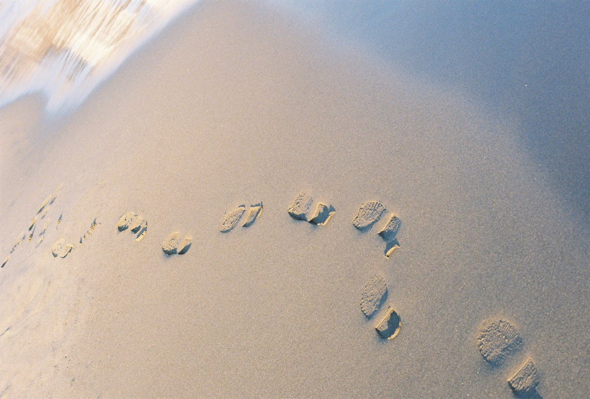 _nyaruru_222 tweet picture