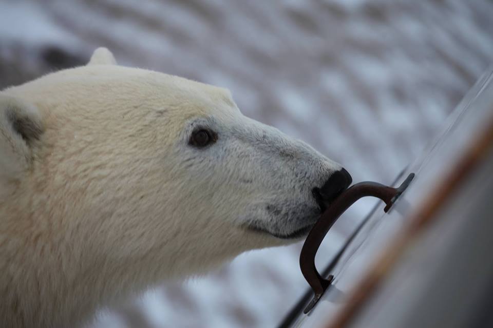 Destination_WA tweet media