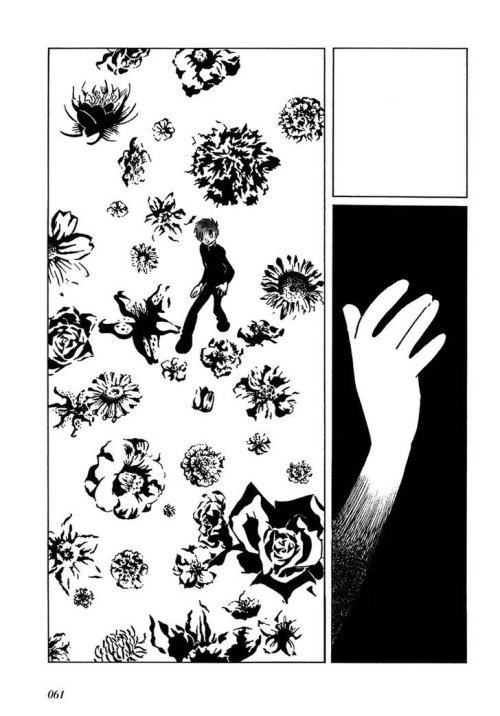 I'd really like there to be an English edition of Fantasy World Jun. Or to just find some Japanese copies