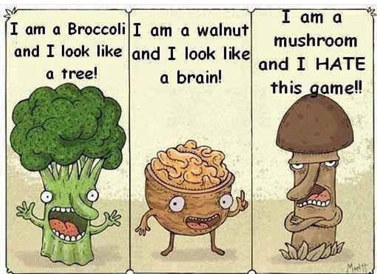 paleo_angel's tweet image. Giggle giggle #paleohumor #paleonerd