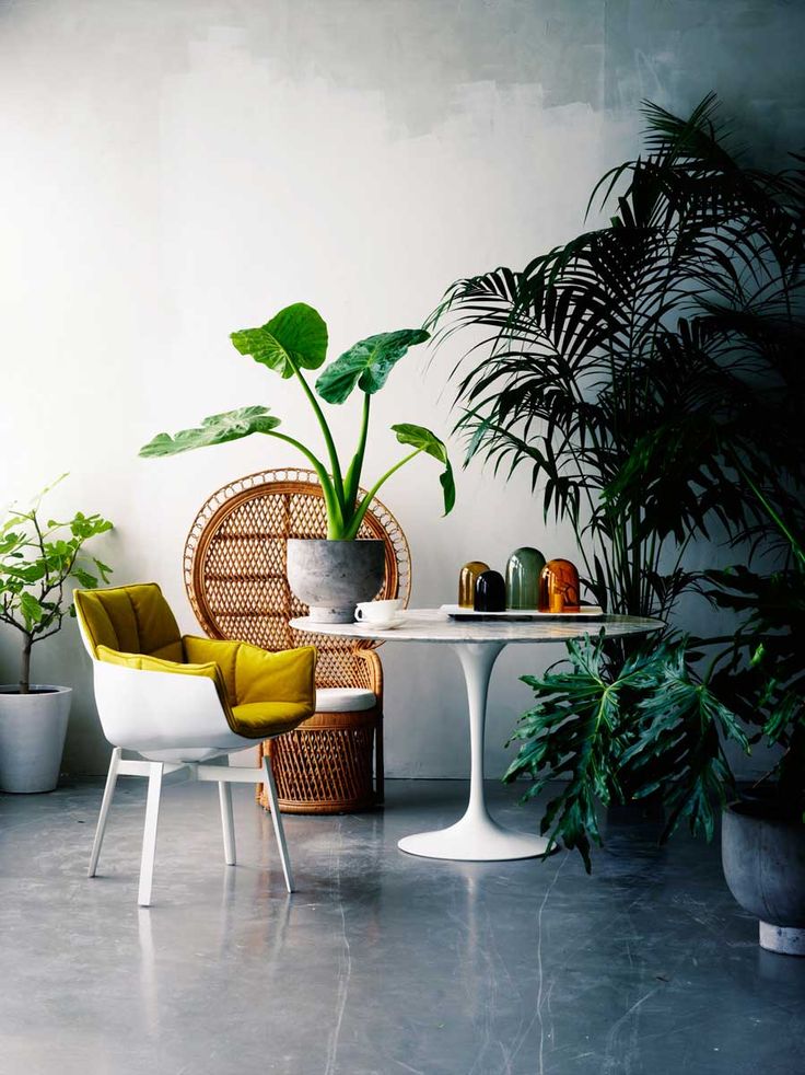 green #decor