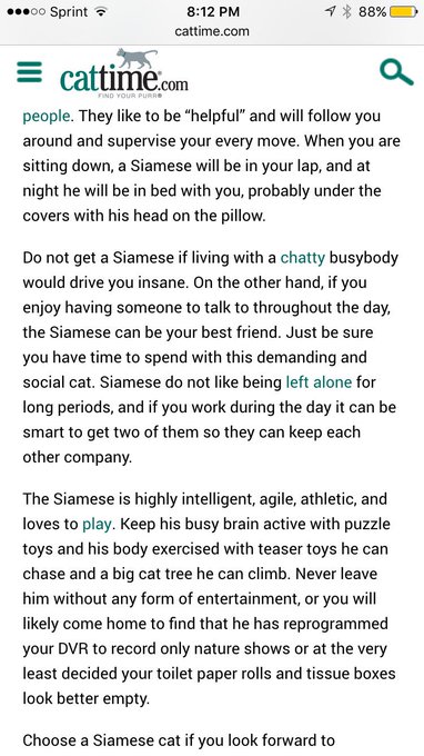 My cat is human bro he bit me three times today bc I wasn't paying attention to him 😭 https://t.co/d