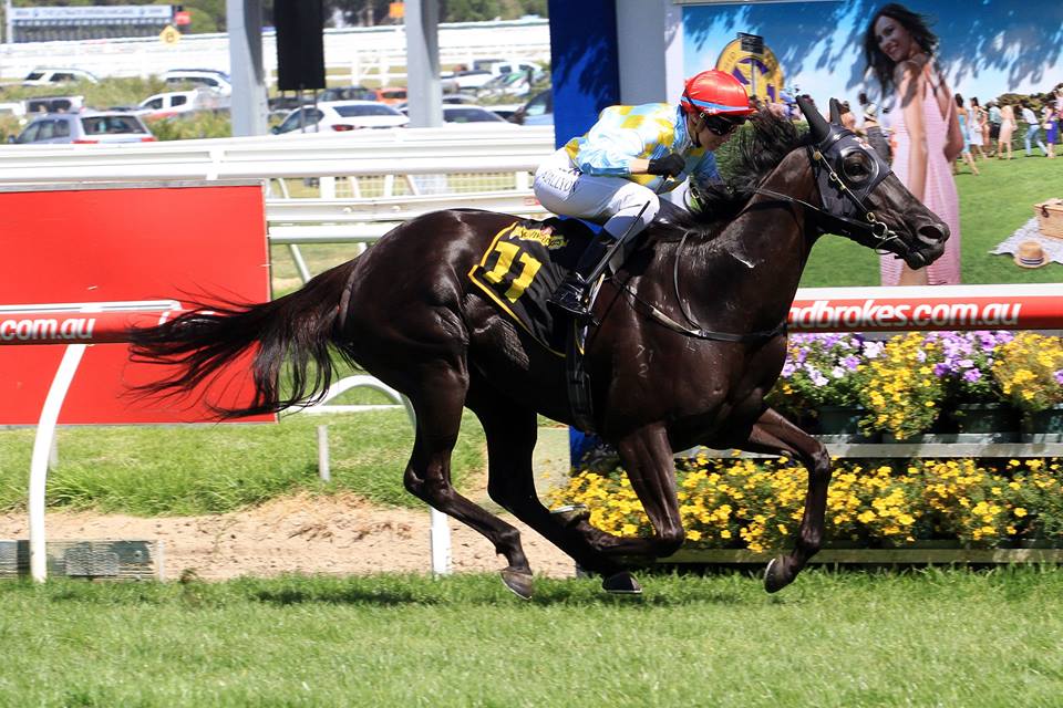 BhimaTBreds's tweet photo. We hope @anz_news 'On The Watch' is correct - "hard to run down" when #Heatherly heads to the G1 Oakleigh Plate next https://t.co/flRoFVrSCW