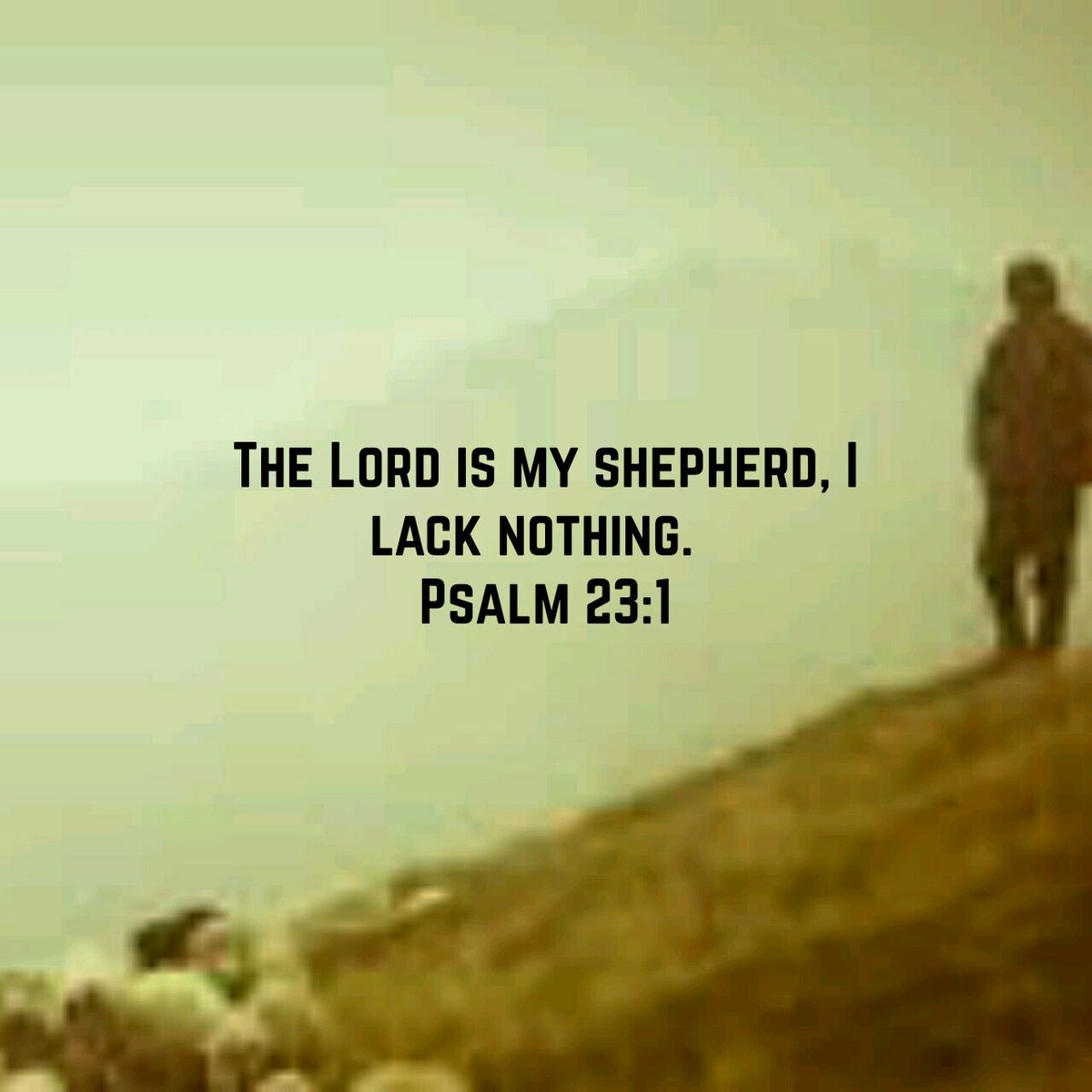 rchogo's tweet photo. https://t.co/IlPXZqteYZ I can take on any day, week, month..year with assurance because #IamCaredFor #BibleFor21 https://t.co/aNEJ8UofzM