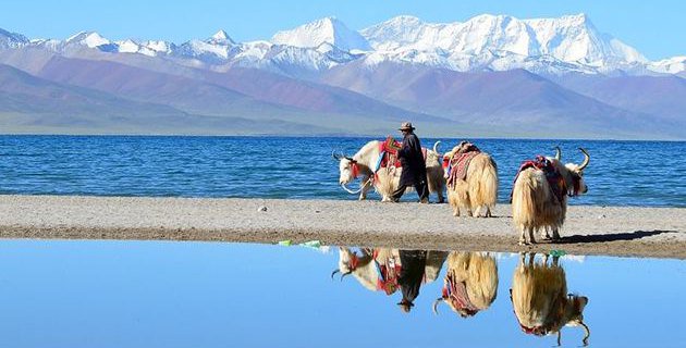 #2016tibettourism   8 days Lhasa Gyantse Shigatse Mt. Everest Group Tour(G04) chinatibettrip.com/index.php?a=sh…