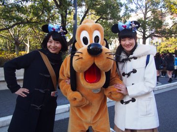 ディズニーシーで買えるカチューシャ一覧 値段や種類をまとめてチェック Travel Star