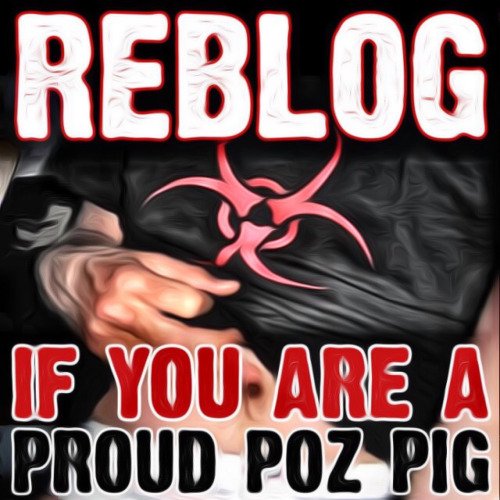 Poz4Chasers's tweet photo. Asspig, cumslut, proud poz gifter 4 bug chasers. I'm POZ4chasers on Kik, @gmail.com, BBRTS, BZ, ToC, pozconvert, NKP https://t.co/YNtuvgxin6