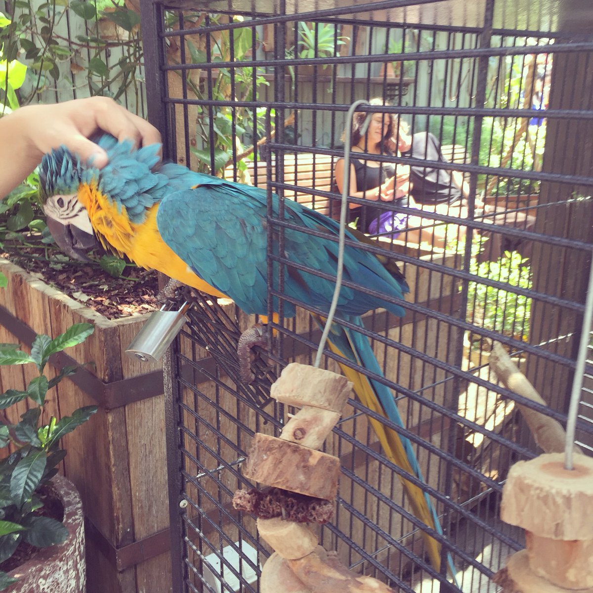 JigsawResearch's tweet photo. Prolly want a cracker... And a cold beer. Goodness it's hot https://t.co/5UNomRlaFG
