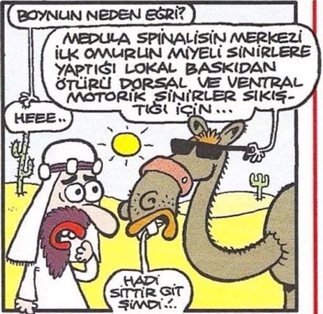 ilhan çolak (@ilhan27) on Twitter photo 