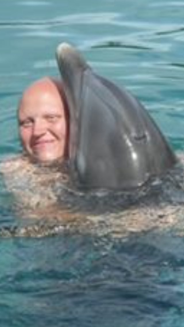 awilliraps's tweet photo. I just want someone to hug me like Ben hugged this dolphin. https://t.co/XaPERd5jri