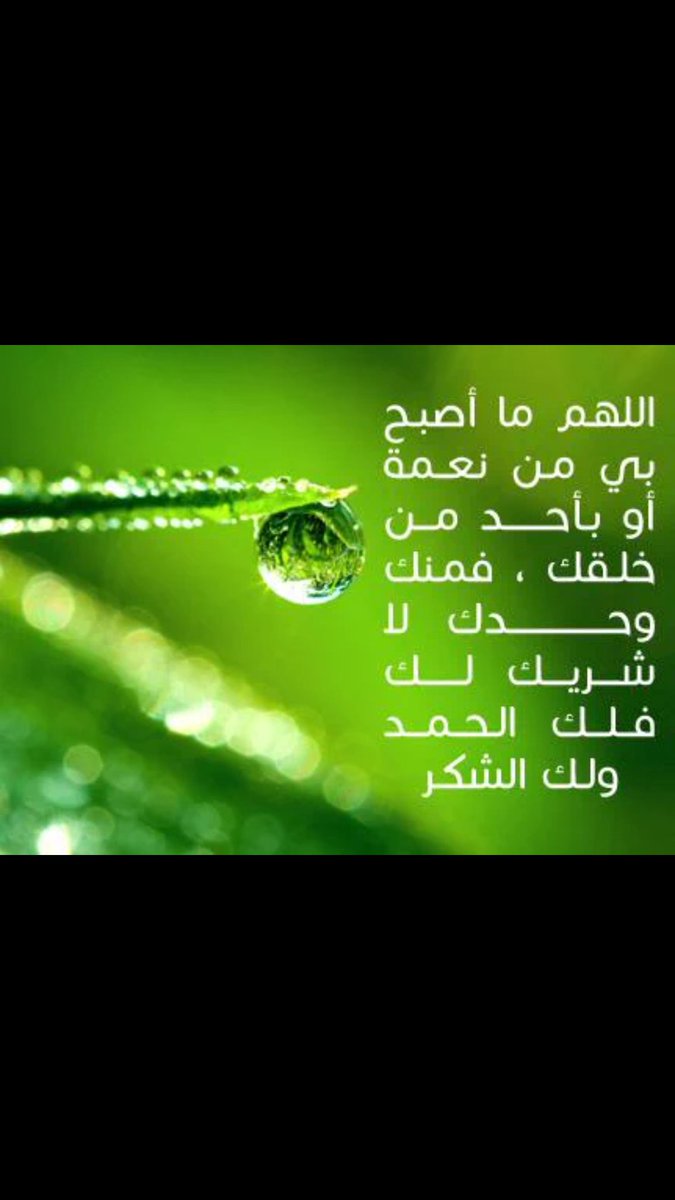 yah12yah tweet picture