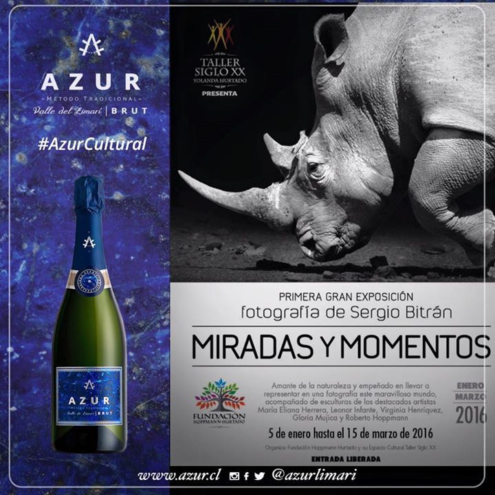 azurlimari's tweet photo. #AzurCultural El reconocido fotógrafo naturalista Sergio Bitrán, está exhibiendo su trabajo en la exposición "Mirad… https://t.co/FxshvmQb10