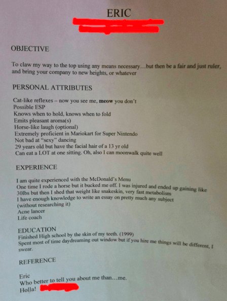 technogogical's tweet image. Very funny CV Would u employ him just for the laugh 2 see what he was like? :o) @mikemtnb @Boothy30 @SmithWordy