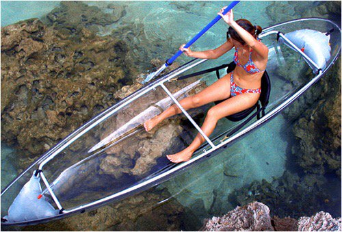 KBHotMommas26's tweet photo. Ready to explore the big and small lagoon? RT the above tweet for the mechanics. 😊 #VoteKathrynFPP #KCA https://t.co/VPfghJYrtN