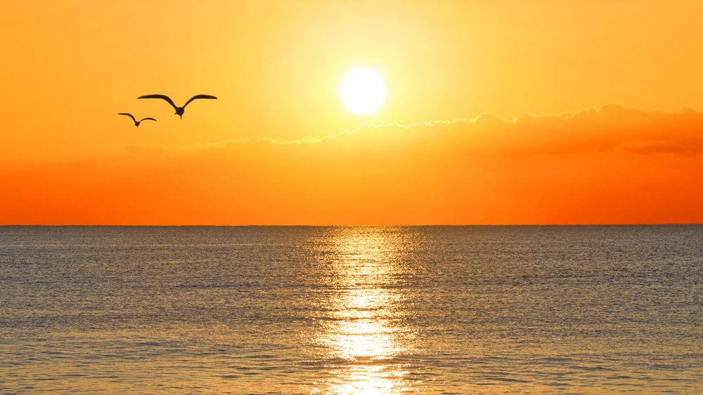 EspanaEnLatam's tweet photo. Buenos días, viernes.
Viajar es la respuesta, no importa cuál sea la pregunta.
¡Buen fin de semana! https://t.co/3ipGwuLPUm