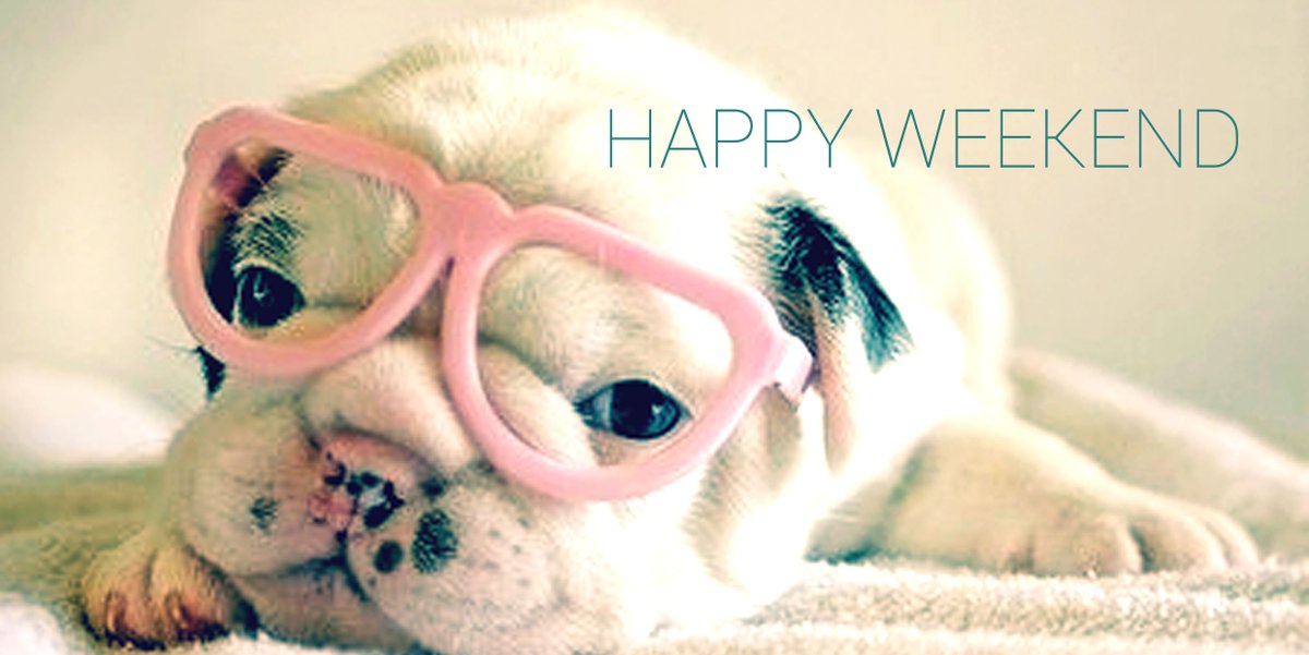 AnxaTeam's tweet photo. So, it's Friday! Hope you're garb is as cute as this guy! #pinkFriday Enjoy the weekend, guys! -AnxaTeam https://t.co/Cbc9bAiWXO