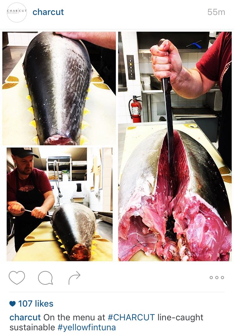 46southFishco's tweet photo. @CHARCUT having fun preparing their YF Tuna from @LeeFishNZ fishers down in NZ..Nice lookin fish! #ahituna #tracable https://t.co/lTGiA3LiWG